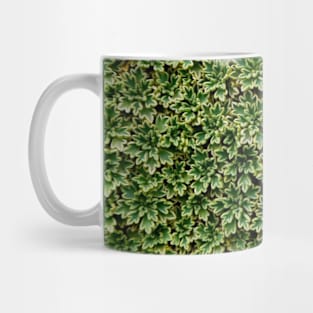 Delicate alpine plants in Patagonia Mug